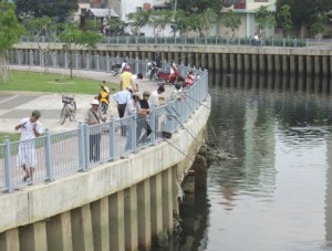 Nhiều người vẫn buông câu trên kênh Nhiêu Lộc - Thị Nghè để tận diệt đàn cá đang hồi sinh